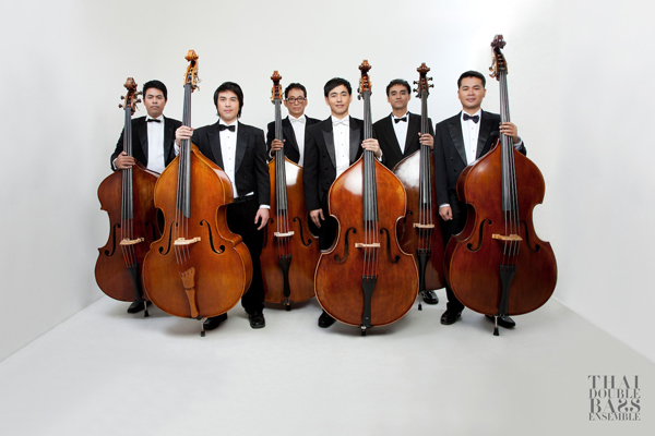 BSO Double Bass Section
